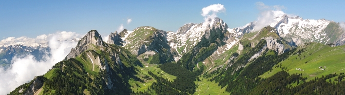 paradeplatz-spring.jpg?v=B841742D